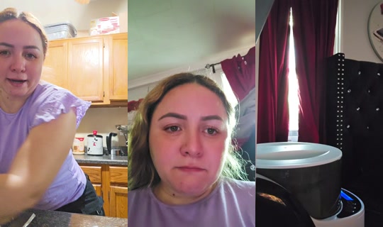 vanessa0517alarcon TikTok Live — Aug 26, 2026, 3:40 PM