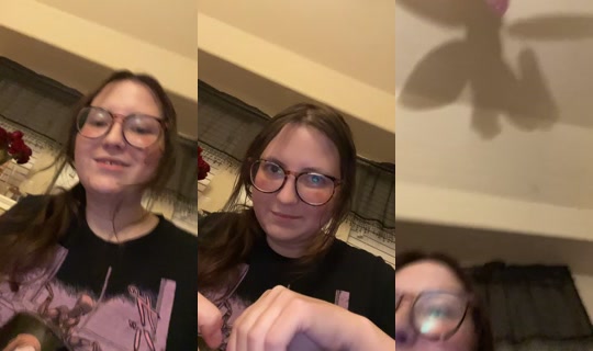 vaping3735 TikTok Live — Aug 27, 2026, 4:51 AM