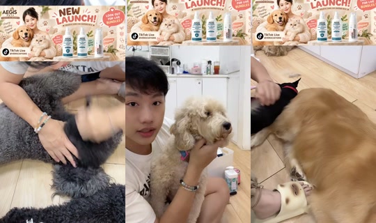veraciayong TikTok Live — Sep 12, 2026, 3:08 PM