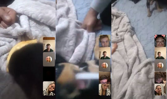verdevcn959 TikTok Live — Oct 5, 2026, 10:27 PM