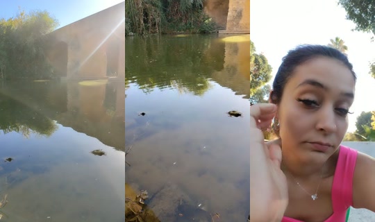 verito072695 TikTok Live — Sep 13, 2026, 4:33 PM
