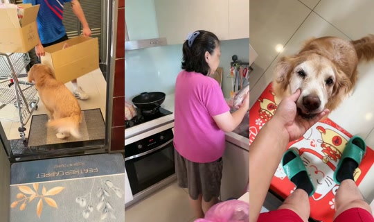 vic830524 TikTok Live — Oct 8, 2026, 2:36 AM