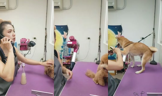 vickymichen TikTok Live — Aug 22, 2026, 8:45 AM