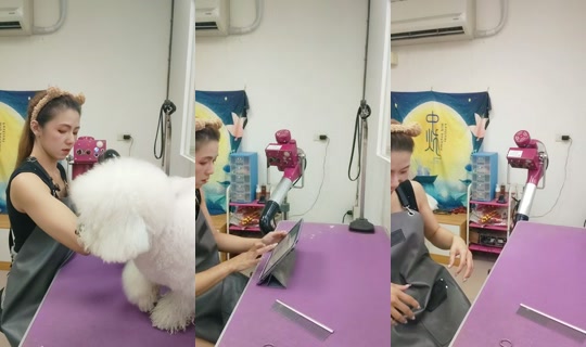 vickymichen TikTok Live — Aug 22, 2026, 9:35 AM