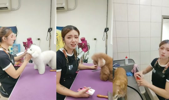 vickymichen TikTok Live — Aug 24, 2026, 6:25 AM
