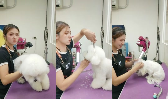 vickymichen TikTok Live — Aug 24, 2026, 8:05 AM