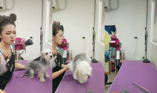 vickymichen TikTok Live — Aug 25, 2026, 6:30 AM