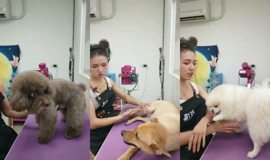 vickymichen TikTok Live — Aug 25, 2026, 9:01 AM
