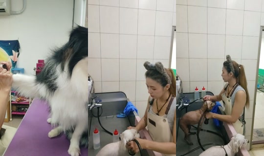vickymichen TikTok Live — Aug 29, 2026, 6:35 AM