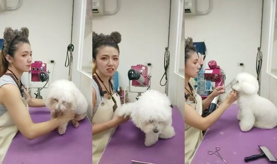 vickymichen TikTok Live — Aug 29, 2026, 7:55 AM