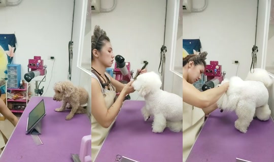 vickymichen TikTok Live — Aug 29, 2026, 9:35 AM