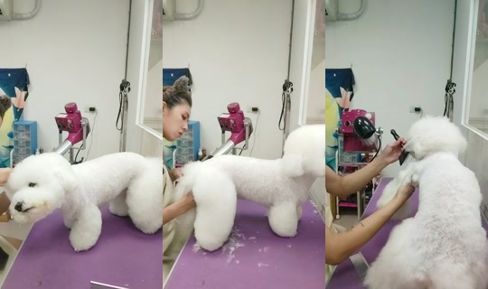 vickymichen TikTok Live — Aug 29, 2026, 10:26 AM