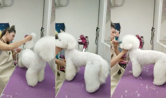 vickymichen TikTok Live — Aug 29, 2026, 11:16 AM