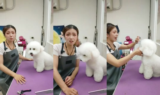vickymichen TikTok Live — Oct 1, 2026, 10:26 AM