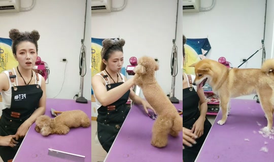 vickymichen TikTok Live — Oct 2, 2026, 6:57 AM