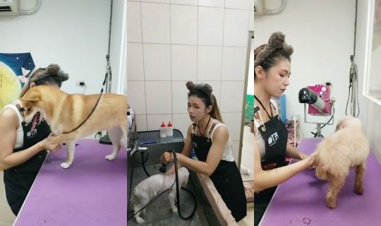 vickymichen TikTok Live — Oct 2, 2026, 7:47 AM