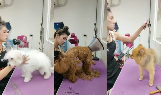 vickymichen TikTok Live — Oct 2, 2026, 8:37 AM