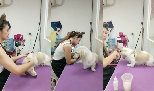vickymichen TikTok Live — Oct 2, 2026, 9:27 AM