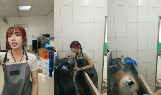 vickymichen TikTok Live — Oct 3, 2026, 5:00 AM