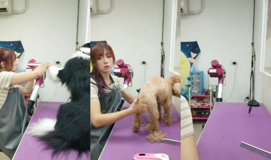 vickymichen TikTok Live — Oct 3, 2026, 6:41 AM