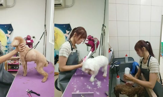 vickymichen TikTok Live — Oct 3, 2026, 8:21 AM