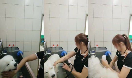 vickymichen TikTok Live — Oct 5, 2026, 6:30 AM