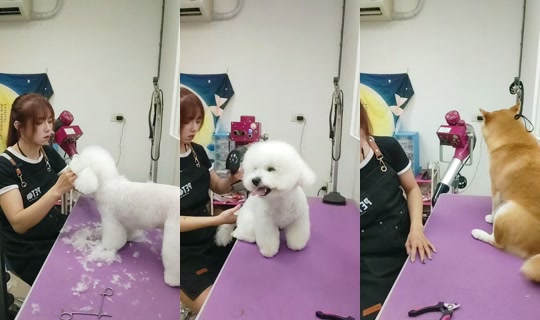 vickymichen TikTok Live — Oct 5, 2026, 8:26 AM