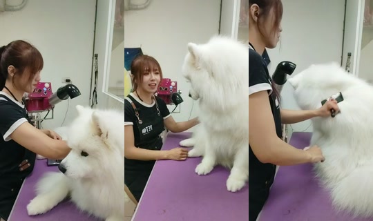 vickymichen TikTok Live — Oct 5, 2026, 9:17 AM