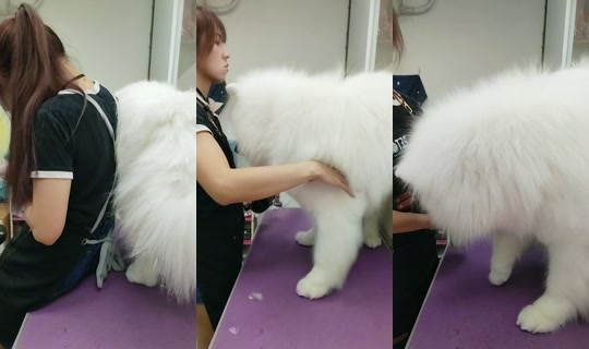 vickymichen TikTok Live — Oct 5, 2026, 10:07 AM