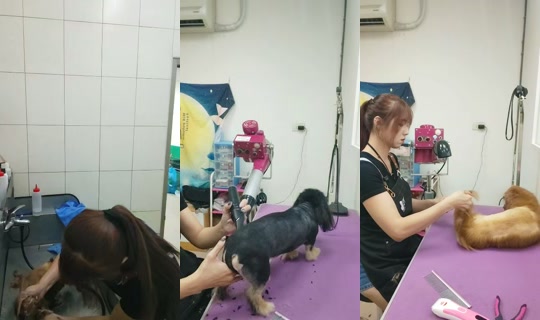 vickymichen TikTok Live — Oct 6, 2026, 8:25 AM