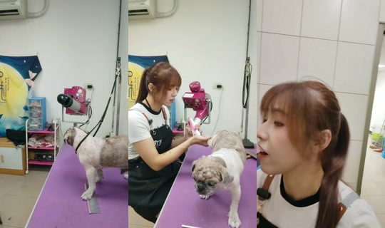 vickymichen TikTok Live — Oct 7, 2026, 5:47 AM