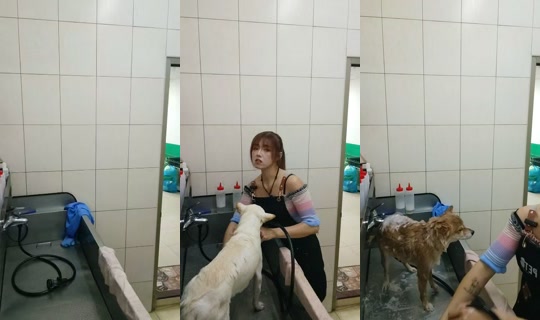 vickymichen TikTok Live — Oct 8, 2026, 5:39 AM