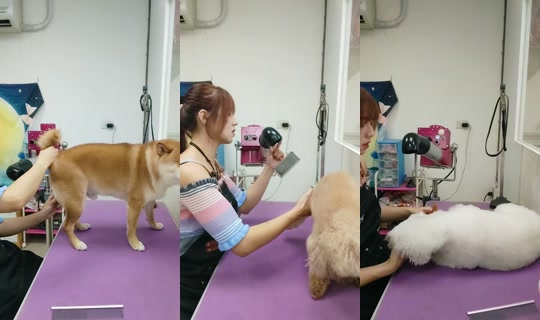 vickymichen TikTok Live — Oct 8, 2026, 7:20 AM