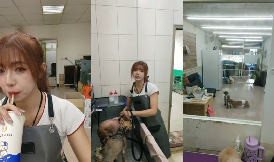 vickymichen TikTok Live — Oct 9, 2026, 5:37 AM