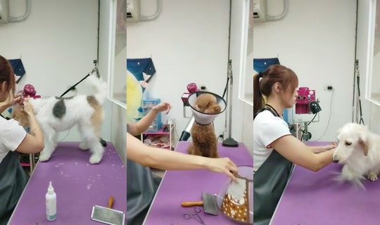 vickymichen TikTok Live — Oct 9, 2026, 9:00 AM