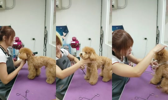 vickymichen TikTok Live — Oct 9, 2026, 9:51 AM
