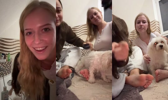 violettabr7 TikTok Live — Oct 3, 2026, 8:36 PM