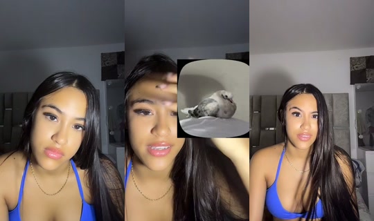 vlg06___ TikTok Live — Oct 2, 2026, 5:31 AM