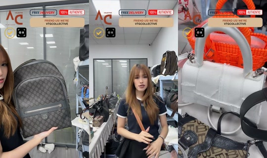 vtgcollective.sg TikTok Live — Sep 1, 2026, 9:37 AM