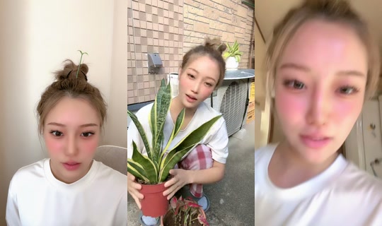 wachan0707 TikTok Live — Oct 7, 2026, 5:24 AM