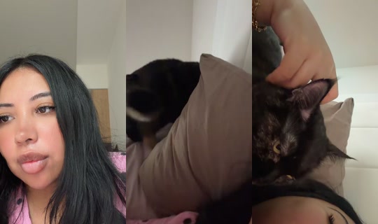 waifutania27 TikTok Live — Sep 28, 2026, 2:26 PM