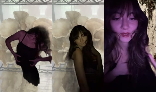 wallbehaved TikTok Live — Aug 22, 2026, 12:08 PM