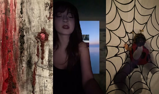wallbehaved TikTok Live — Aug 29, 2026, 8:48 AM