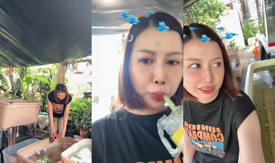 wanachhh TikTok Live — Oct 3, 2026, 7:03 AM