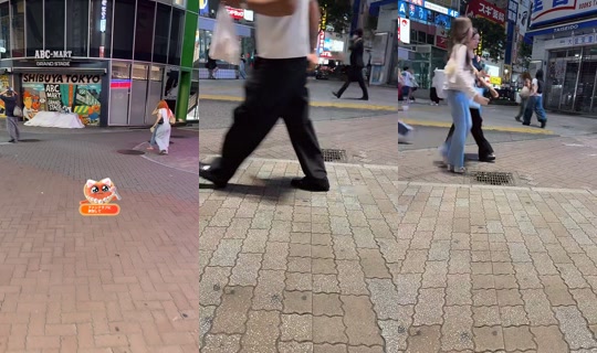 warael__tokyo TikTok Live — Aug 24, 2026, 3:01 PM