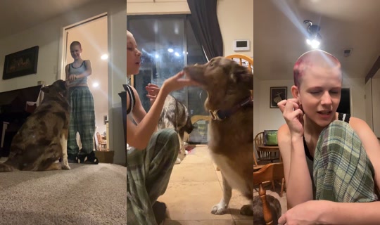 whateva.with.char TikTok Live — Oct 5, 2026, 5:11 AM