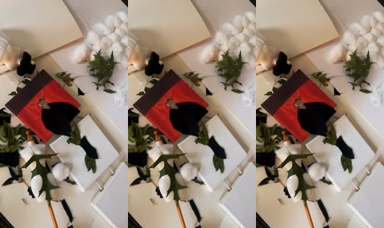 whend_oxo TikTok Live — Sep 29, 2026, 7:42 PM