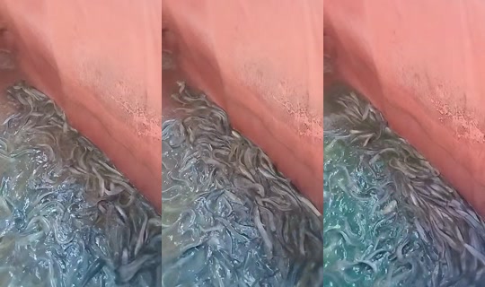 widariumi35 TikTok Live — Sep 23, 2026, 10:28 AM