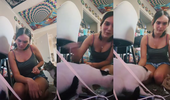 wifeyysarah TikTok Live — Oct 8, 2026, 10:46 PM