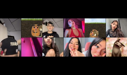 wilyernz TikTok Live — Sep 3, 2026, 12:02 PM